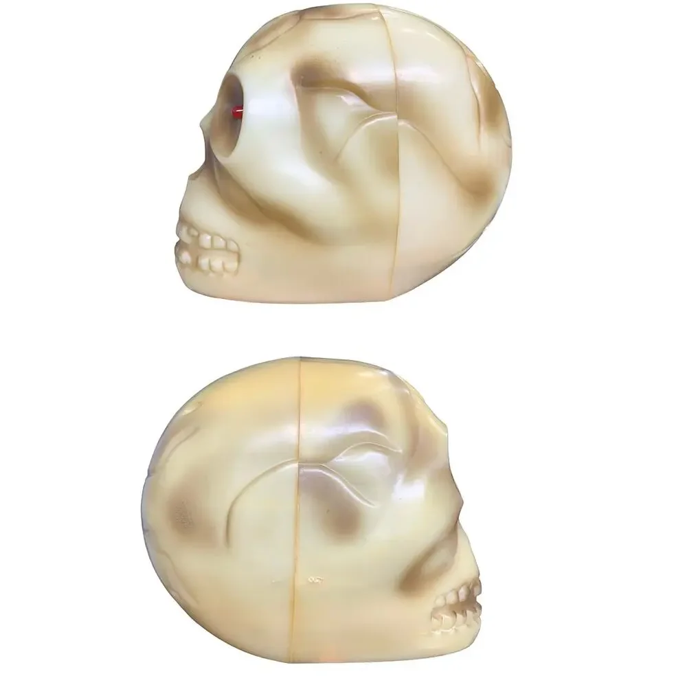 Halloween Bundle: Skeleton Shirt 2Xl, Vincent the Living Skull, Sugar Skull  Mug - Picture 10 of 12